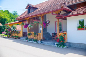 Отель Guesthouse Ella  Слунй 